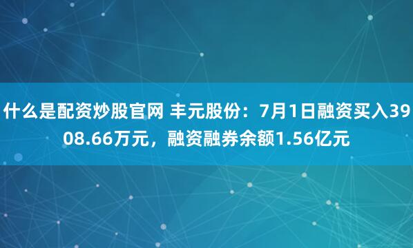 什么是配资炒股官网 丰元股份:7月1日融资买入3908.66万元,融资融券余额1.56亿元