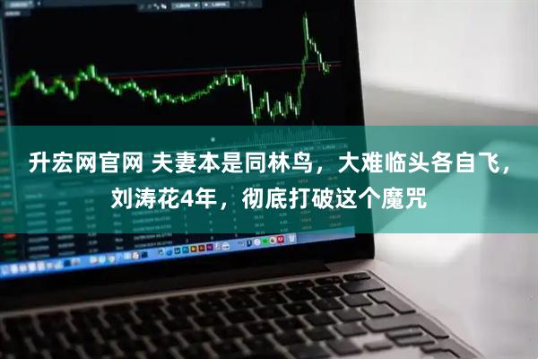 升宏网官网 夫妻本是同林鸟,大难临头各自飞,刘涛花4年,彻底打破这个魔咒