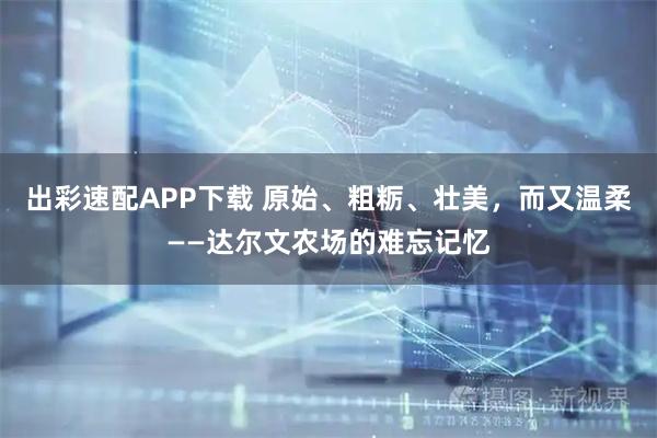 出彩速配APP下载 原始、粗粝、壮美，而又温柔——达尔文农场的难忘记忆