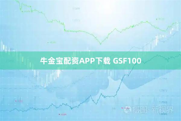 牛金宝配资APP下载 GSF100