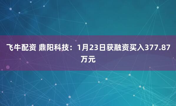 飞牛配资 鼎阳科技：1月23日获融资买入377.87万元