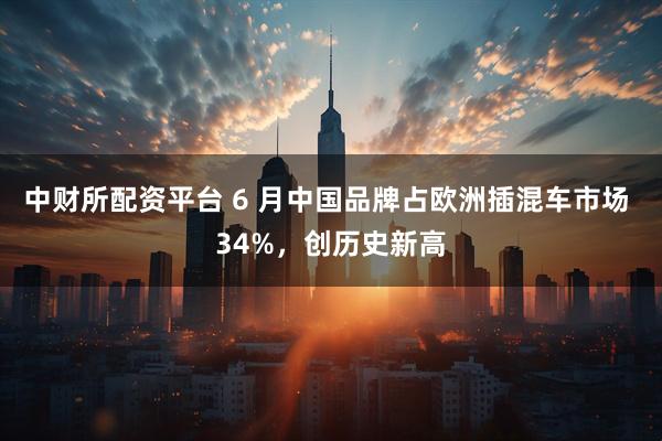 中财所配资平台 6 月中国品牌占欧洲插混车市场 34%，创历史新高
